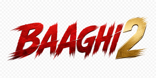 baaghi 2